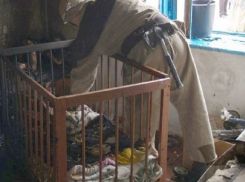 Страшная смерть в огне целой семьи обошлась заснувшему с сигаретой ставропольчанину в полтора года колонии-поселения