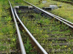 Упавшие на железную дорогу деревья задерживают поезд Адлер-Кисловодск