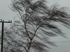 На Ставрополье ожидается очень сильный ветер