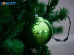 На елочные шары власти Ставрополя готовы потратить более 1,7 миллиона рублей