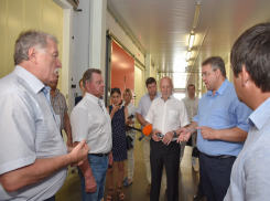 Ставропольский аналог «Магнита» предложил открыть в крае полпред СКФО