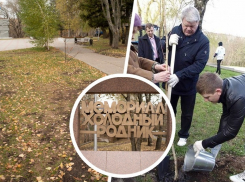 Ветеранская аллея «Живой музей», заложенная накануне 68-летия Победы, бесследно исчезла в Ставрополе