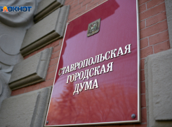 Книгу-альбом к 30-летию гордумы заказала за 1,5 миллиона администрация Ставрополя