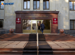 Знакомые все лица: стали известны итоги праймериз в думу Ставрополья