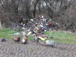 Недалеко от Ессентуков активисты обнаружили свалку “рогов и копыт” 