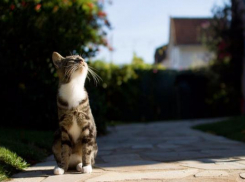 Теплая и безветренная погода установится в понедельник на Ставрополье
