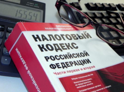 Ставропольский «Папа Карло» задолжал более 2 миллионов налогов