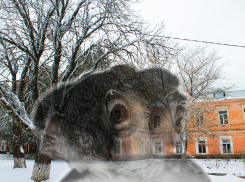 Отрывали уши и изгоняли дьявола: репортаж из ставропольской психиатрической больницы