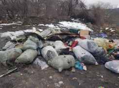 Жители Ставрополя организовали свалку на берегу реки Мамайка