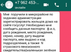 «Естественным отбором» назвали новый вид «развода» на данные жители Ставрополя 