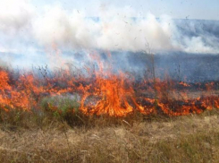 На Ставрополье 20 полей сгорели