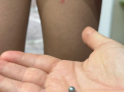 После публикации «Блокнота Ставрополь» следком возбудил уголовное дело из-за стрельбы в 30 гимназии