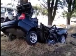 Два брата погибли в страшном столкновении «Хендая» с деревом на Ставрополье