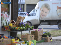 Где праздновать 8 марта в Ставрополе: программа культурных мероприятий города