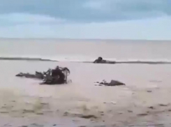 Сочинские водолазы обследуют дно моря в поисках мужчины и троих детей со Ставрополья