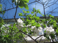 Солнечная и тёплая погода придёт на Ставрополье