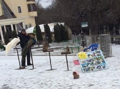 «Это ведь живодерство!»: ессентучан возмутило использование животных для фотоаттракциона зимой