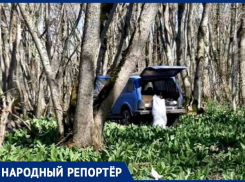«Багажник был забит мешками»: очевидцы заметили заготовку краснокнижной черемши на горе Стрижамент на Ставрополье