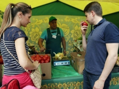 Продуктовую ярмарку перенесут ближе к Мамайскому лесу в Ставрополе