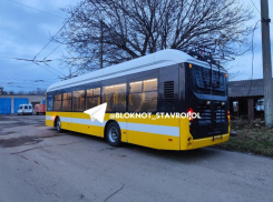 Троллейбус за 35 миллионов планирует приобрести «Крайтранс» для Ставрополя 