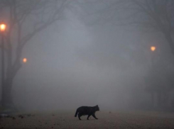 Густой туман с гололедицей придут на Ставрополье в начале рабочей недели