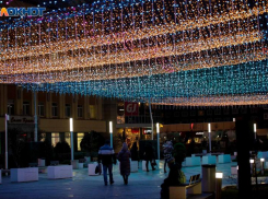 А елочка вам нравится? Ставропольские чиновники закупают украшения к Новому году