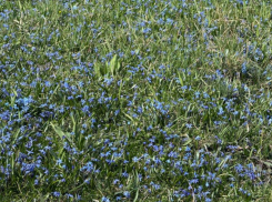 Погода на 2 апреля в Ставрополе: воздух прогреется до +17 