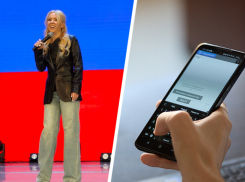 «Глючит по полной»: жители Ставрополья пожаловались на работу школьного электронного журнала Екатерине Мизулиной