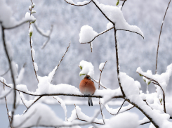 На Ставрополье ухудшится погода