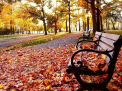 Дожди на следующей рабочей неделе прекратятся