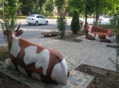 Две симпатичные телки помогут отдохнуть жителям Ставрополя