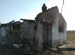 Пожарные спасли 150 животных на ферме