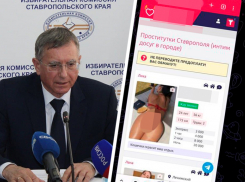 Сайт с проститутками случайно «прорекламировали» в избирательной комиссии Ставрополья