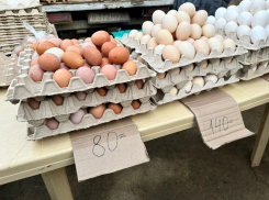 Мэр Ставрополя на ярмарке показал яйца по 80 рублей