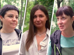 «Запретов много, а гулять негде»: ставропольцы высказались о поправках в закон об обращении с животными