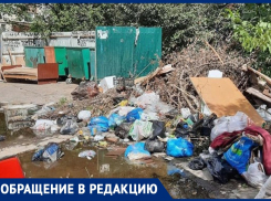 Загаженная контейнерная площадка отравляет жизнь жителям нескольких домов Ставрополя