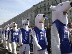 Только единоросы попали в думы районов и городских округов на выборах в Ставропольском крае
