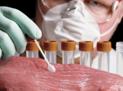 Мясного оптовика уличили в нарушениях при внеплановой проверке на Ставрополье