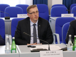 Дума Ставрополья пожаловалась в прокуратуру на депутата от ЛДПР Александра Пелюха
