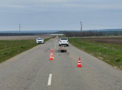 Водитель-рецидивист насмерть сбил пешехода на Ставрополье