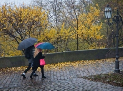 Ветреный и дождливый день ожидает жителей Ставрополья 17 октября