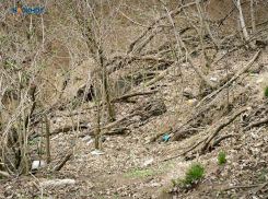 Землетрясение магнитудой 2,3 ночью 4 апреля подтвердили на Ставрополье 
