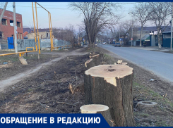 Опять война с деревьями: жители ставропольской Чапаевки протестуют против расширения улицы