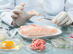 В мясе благодарненского птицекомбината нашли антибиотики