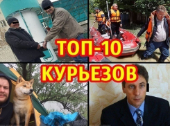 Откушенное ухо депутата, «Это фиаско!» в Пятигорске и катающий на лодке главу МЧС губернатор Владимиров: ТОП-10 самых смешных курьезов 2017 года 