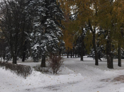 Ставропольчане могут начинать готовиться к весне