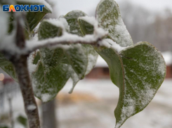 Погода в Ставрополе 22 декабря обрадует небольшим дождем и потеплением до +8