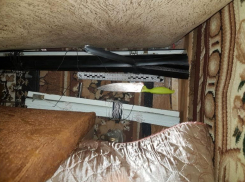 Девочка-подросток зарезала бабушку из-за замечания по уборке