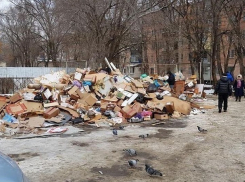 Огромная мусорная свалка появилась во дворе дома на Ставрополье