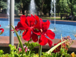 В понедельник в Ставрополе будет облачно